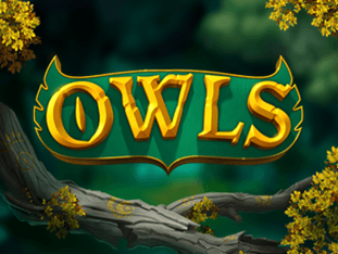 Owls game icon